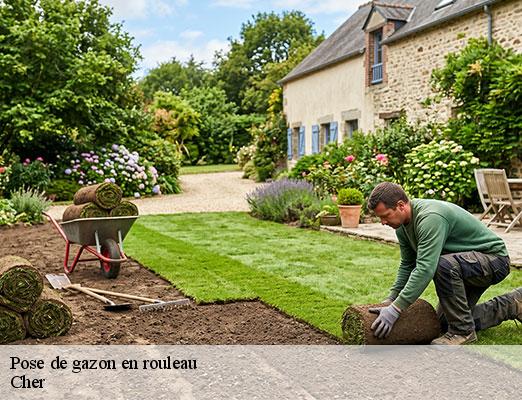 pose-de-gazon-en-rouleau-2