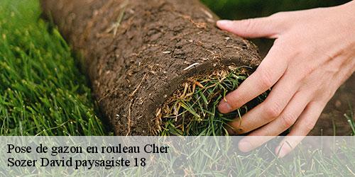 pose-de-gazon-en-rouleau-4