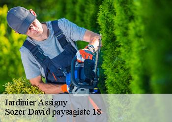 Jardinier  assigny-18260 Sozer David paysagiste 18