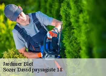 Jardinier  blet-18350 Sozer David paysagiste 18
