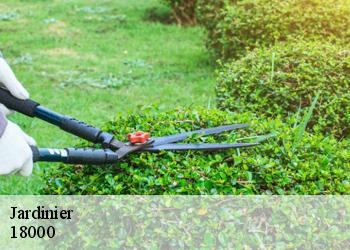 Jardinier  18000