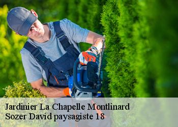 Jardinier  la-chapelle-montlinard-18140 Sozer David paysagiste 18