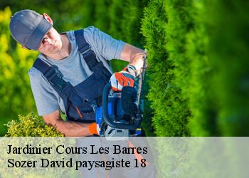 Jardinier  cours-les-barres-18320 Sozer David paysagiste 18