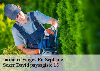 Jardinier  farges-en-septaine-18800 Sozer David paysagiste 18