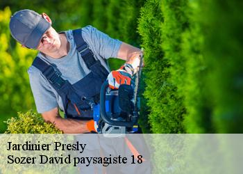 Jardinier  presly-18380 Sozer David paysagiste 18