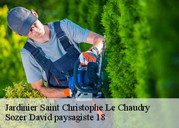 Jardinier  saint-christophe-le-chaudry-18270 Sozer David paysagiste 18