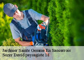 Jardinier  sainte-gemme-en-sancerrois-18240 Sozer David paysagiste 18