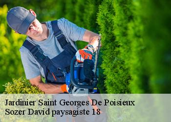 Jardinier  saint-georges-de-poisieux-18200 Sozer David paysagiste 18
