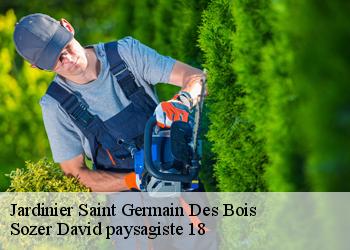 Jardinier  saint-germain-des-bois-18340 Sozer David paysagiste 18