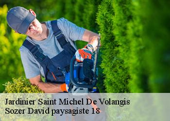 Jardinier  saint-michel-de-volangis-18390 Sozer David paysagiste 18