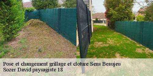 pose-et-changement-grillage-et-cloture-4