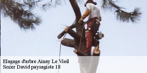 elagage-d-arbre-4