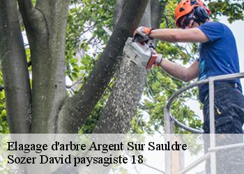 Elagage d'arbre  argent-sur-sauldre-18410 Sozer David paysagiste 18