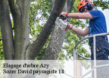 Elagage d'arbre  azy-18220 Sozer David paysagiste 18