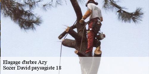 elagage-d-arbre-4