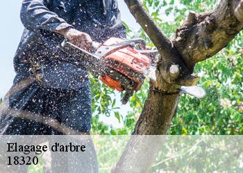 Elagage d'arbre 18320