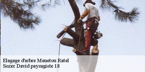 elagage-d-arbre-4