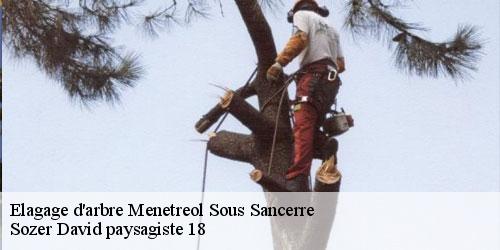 elagage-d-arbre-4