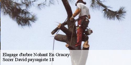 elagage-d-arbre-4