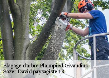 Elagage d'arbre  plaimpied-givaudins-18340 Sozer David paysagiste 18