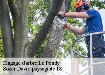 Elagage d'arbre  le-pondy-18210 Sozer David paysagiste 18