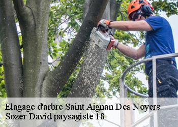Elagage d'arbre  saint-aignan-des-noyers-18600 Sozer David paysagiste 18