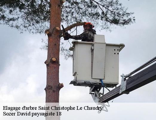 elagage-d-arbre-1
