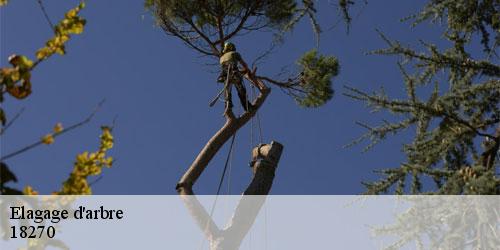 elagage-d-arbre-5