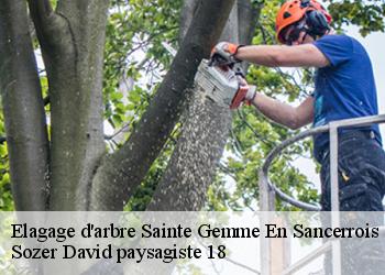 Elagage d'arbre  sainte-gemme-en-sancerrois-18240 Sozer David paysagiste 18