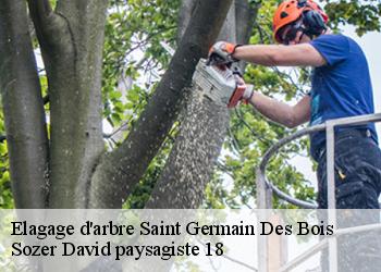 Elagage d'arbre  saint-germain-des-bois-18340 Sozer David paysagiste 18