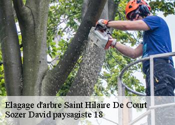 Elagage d'arbre  saint-hilaire-de-court-18100 Sozer David paysagiste 18