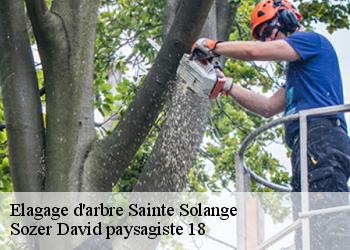 Elagage d'arbre  sainte-solange-18220 Sozer David paysagiste 18