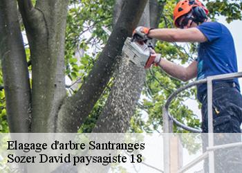 Elagage d'arbre  santranges-18240 Sozer David paysagiste 18