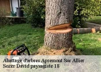 Abattage d'arbres  apremont-sur-allier-18150 Sozer David paysagiste 18