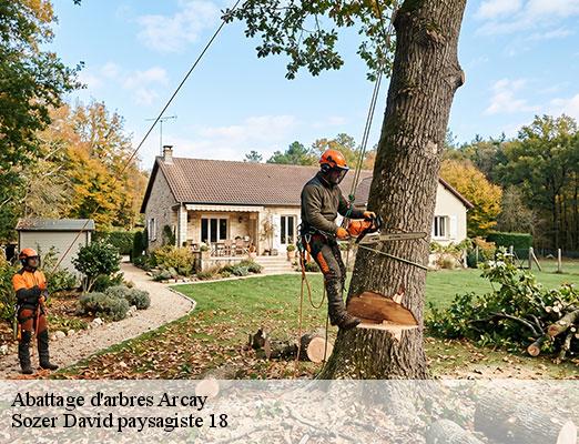 abattage-d-arbres-1