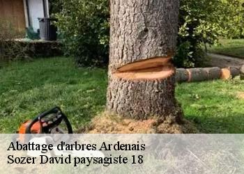 Abattage d'arbres  ardenais-18170 Sozer David paysagiste 18