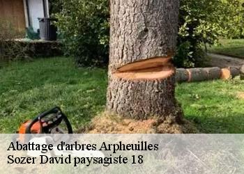 Abattage d'arbres  arpheuilles-18200 Sozer David paysagiste 18