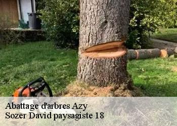Abattage d'arbres  azy-18220 Sozer David paysagiste 18