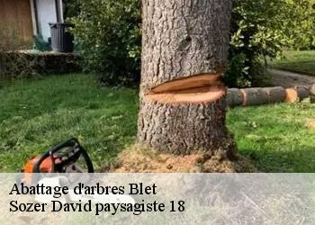 Abattage d'arbres  blet-18350 Sozer David paysagiste 18