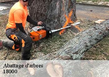 Abattage d'arbres 18000