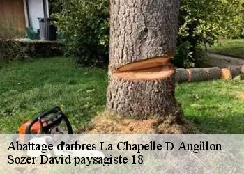 Abattage d'arbres  la-chapelle-d-angillon-18380 Sozer David paysagiste 18