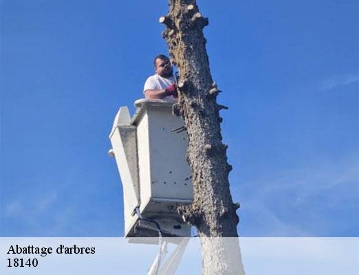abattage-d-arbres-2