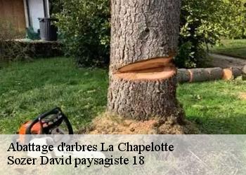 Abattage d'arbres  la-chapelotte-18250 Sozer David paysagiste 18