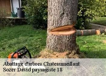 Abattage d'arbres  chateaumeillant-18370 Sozer David paysagiste 18