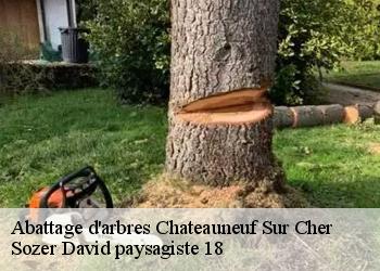 Abattage d'arbres  chateauneuf-sur-cher-18190 Sozer David paysagiste 18
