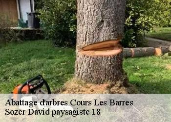 Abattage d'arbres  cours-les-barres-18320 Sozer David paysagiste 18
