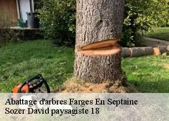 Abattage d'arbres farges-en-septaine-18800 Sozer David paysagiste 18