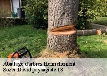 Abattage d'arbres  henrichemont-18250 Sozer David paysagiste 18