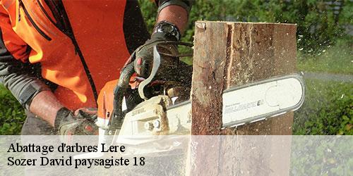 abattage-d-arbres-4