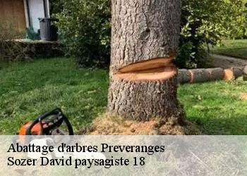 Abattage d'arbres  preveranges-18370 Sozer David paysagiste 18